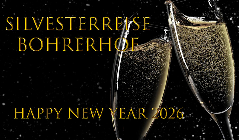 Silvesterreise